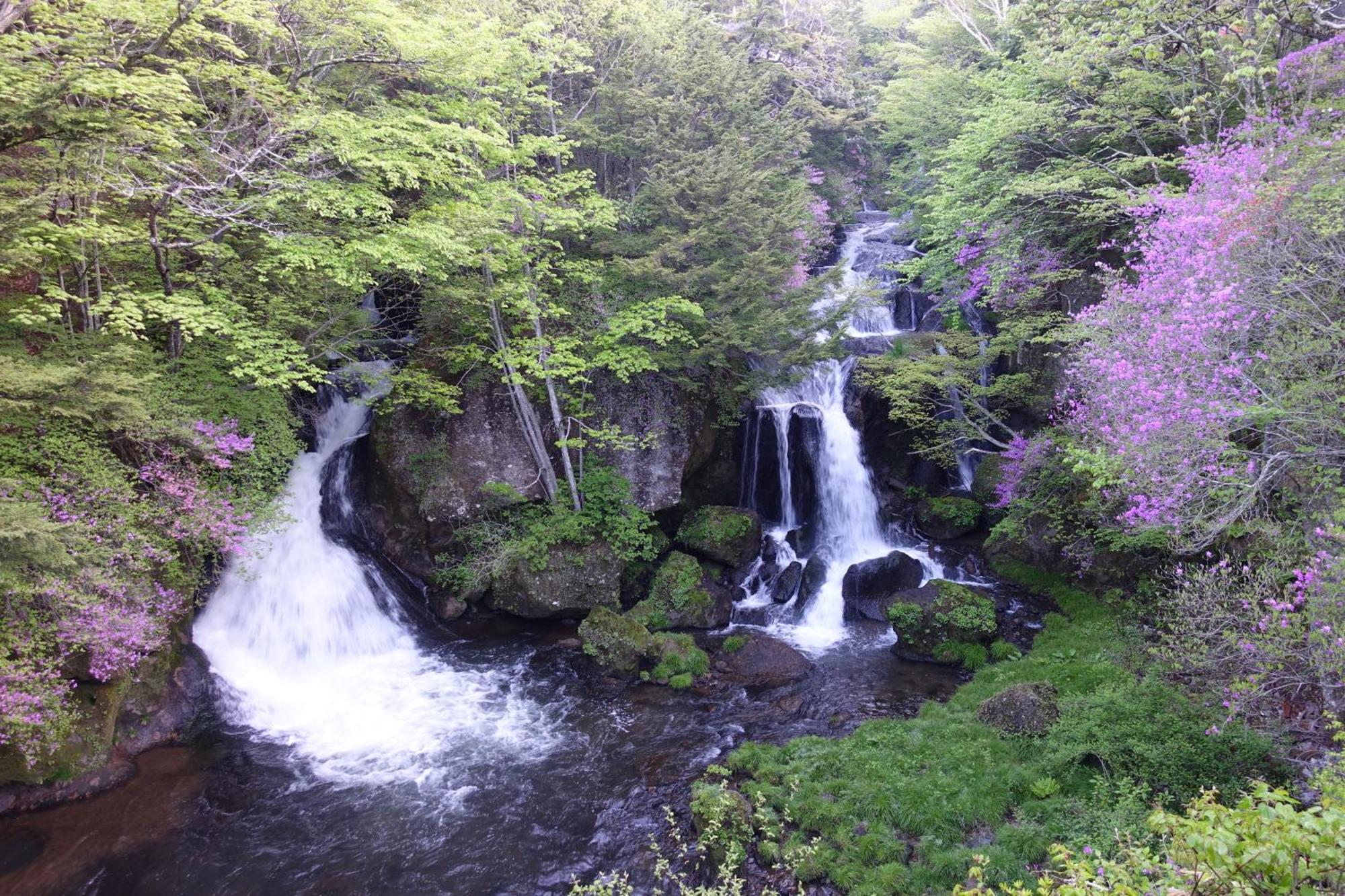 Hatago Nagomi Nikko Eksteriør billede